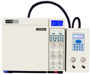  Gas Chromatograph